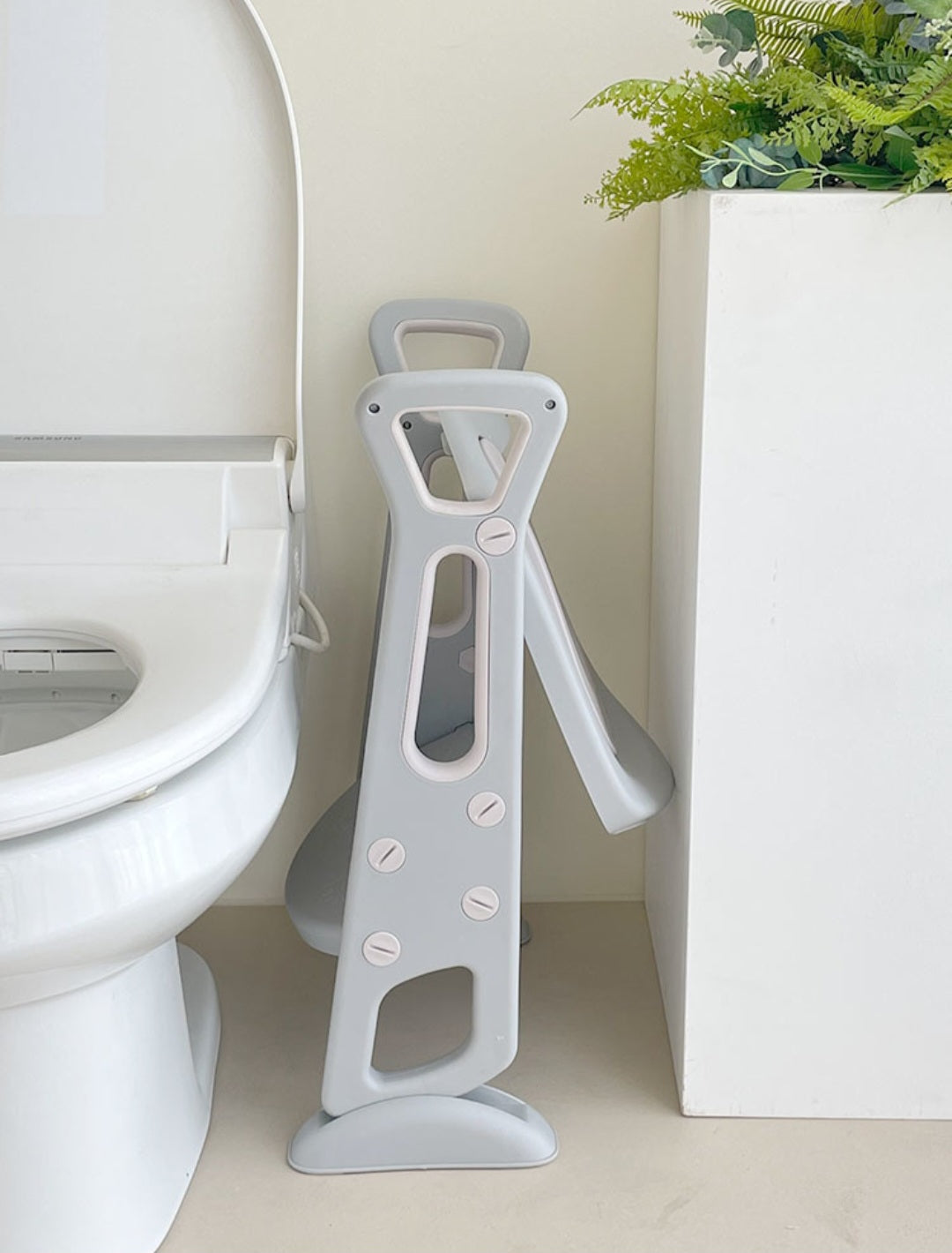 Toilet training ladder