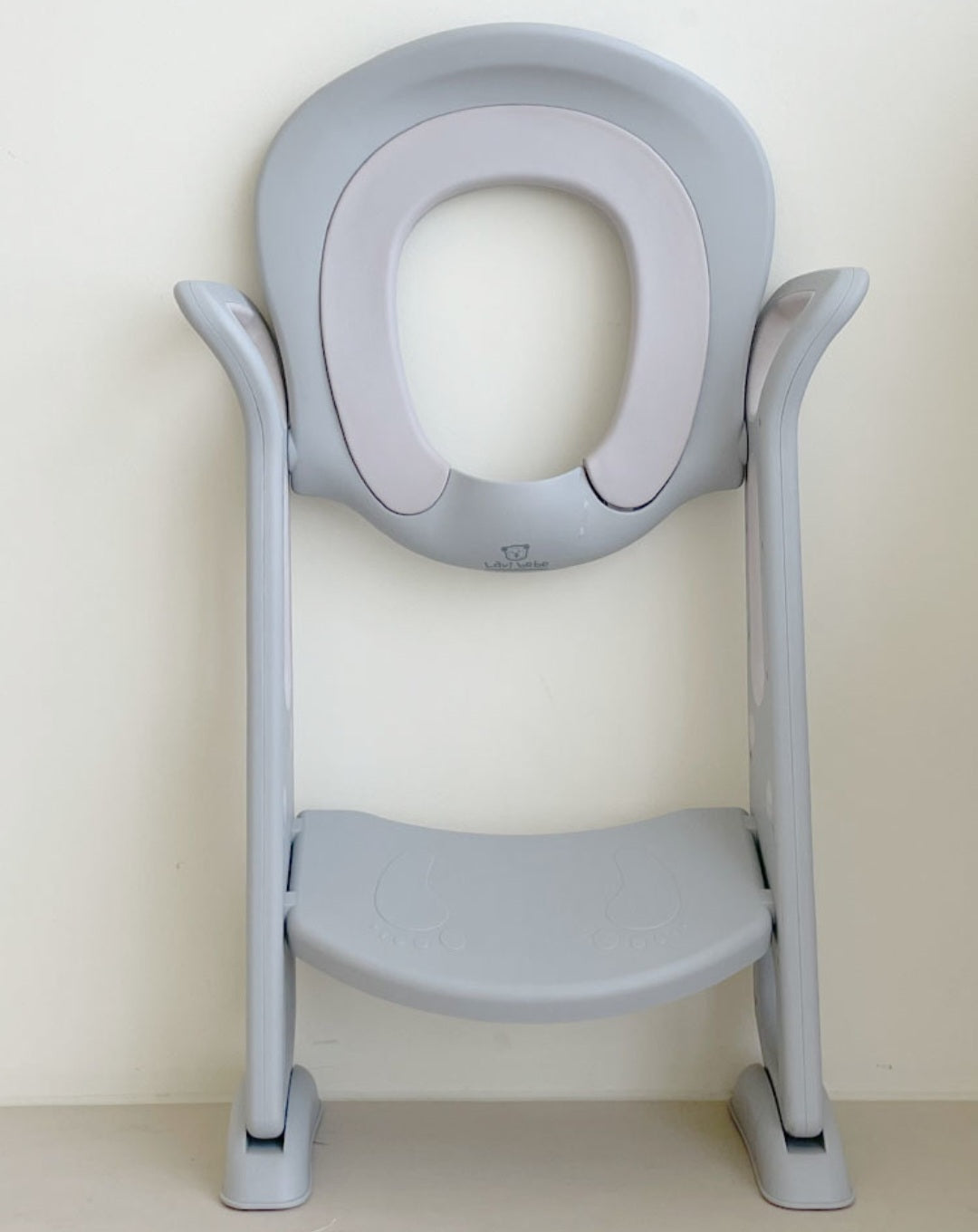 Toilet training ladder